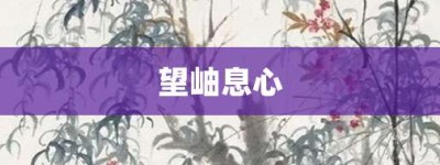 望岫息心【望岫息心的意思】- 成语大全