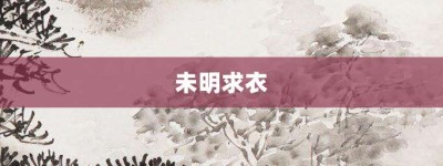 未明求衣【未明求衣的意思】- 成语大全