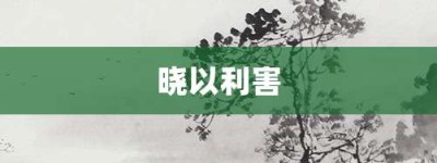 晓以利害【晓以利害的意思】- 成语大全