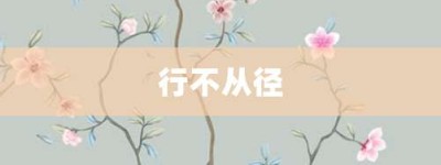 行不从径【行不从径的意思】- 成语大全