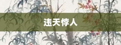 违天悖人【违天悖人的意思】- 成语大全