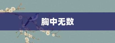 胸中无数【胸中无数的意思】- 成语大全