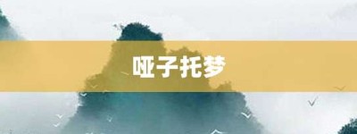 哑子托梦【哑子托梦的意思】- 成语大全