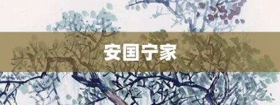 安国宁家【安国宁家的意思】- 成语大全