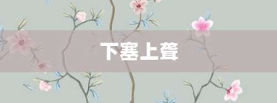 下塞上聋【下塞上聋的意思】- 成语大全