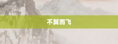 不翼而飞【不翼而飞的意思】- 成语大全