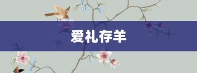 爱礼存羊【爱礼存羊的意思】- 成语大全
