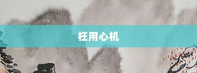 枉用心机【枉用心机的意思】- 成语大全