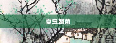 夏虫朝菌【夏虫朝菌的意思】- 成语大全