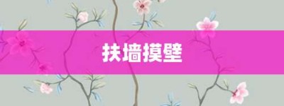 扶墙摸壁【扶墙摸壁的意思】- 成语大全