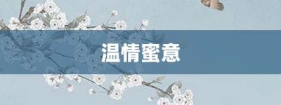 温情蜜意【温情蜜意的意思】- 成语大全