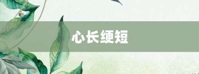 心长绠短【心长绠短的意思】- 成语大全