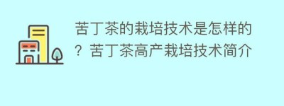 苦丁茶的栽培技术是怎样的？苦丁茶高产栽培技术简介_饮食文化 菊江历史网