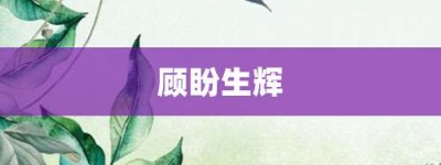 顾盼生辉【顾盼生辉的意思】- 成语大全