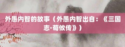 外愚内智的故事（外愚内智出自：《三国志·荀攸传》）_成语故事 菊江历史网