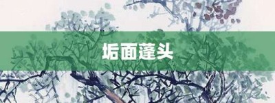 垢面蓬头【垢面蓬头的意思】- 成语大全
