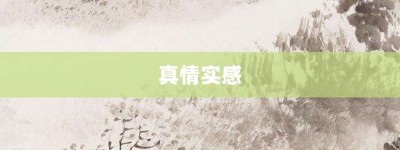 真情实感【真情实感的意思】- 成语大全