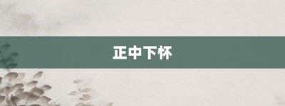 正中下怀【正中下怀的意思】- 成语大全