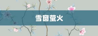 雪窗萤火【雪窗萤火的意思】- 成语大全