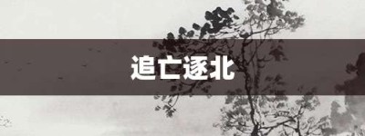 追亡逐北【追亡逐北的意思】- 成语大全