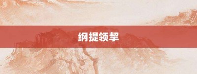 纲提领挈【纲提领挈的意思】- 成语大全