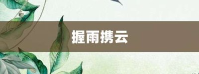 握雨携云【握雨携云的意思】- 成语大全