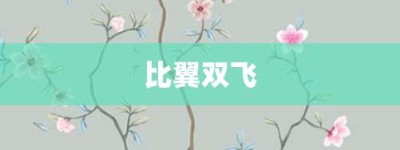 比翼双飞【比翼双飞的意思】- 成语大全