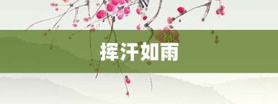 挥汗如雨【挥汗如雨的意思】- 成语大全