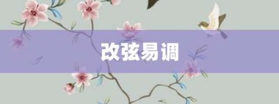 改弦易调【改弦易调的意思】- 成语大全