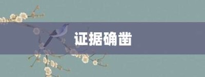 证据确凿【证据确凿的意思】- 成语大全