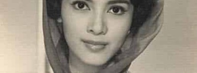 陈思思【原名陈丽梅，中国香港电影演员】 – 人物百科