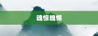 魂惊魄惕【魂惊魄惕的意思】- 成语大全