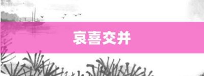 哀喜交并【哀喜交并的意思】- 成语大全