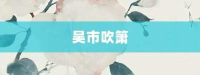吴市吹箫【吴市吹箫的意思】- 成语大全