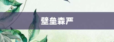 壁垒森严【壁垒森严的意思】- 成语大全