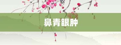 鼻青眼肿【鼻青眼肿的意思】- 成语大全