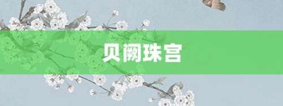 贝阙珠宫【贝阙珠宫的意思】- 成语大全