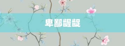 卑鄙龌龊【卑鄙龌龊的意思】- 成语大全