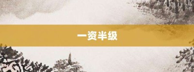 一资半级【一资半级的意思】- 成语大全