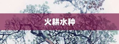 火耕水种【火耕水种的意思】- 成语大全