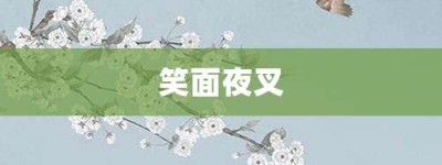 笑面夜叉【笑面夜叉的意思】- 成语大全