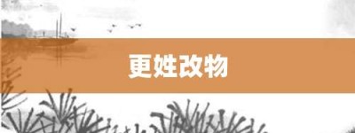 更姓改物【更姓改物的意思】- 成语大全