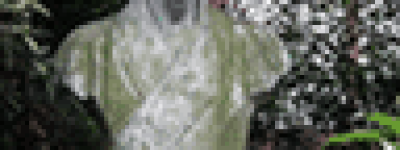 陈寿【三国时蜀汉及西晋时著名史学家】 – 人物百科