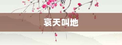 哀天叫地【哀天叫地的意思】- 成语大全