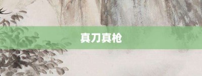 真刀真枪【真刀真枪的意思】- 成语大全