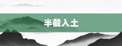 半截入土【半截入土的意思】- 成语大全