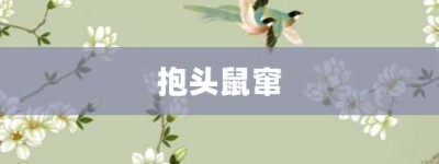 抱头鼠窜【抱头鼠窜的意思】- 成语大全