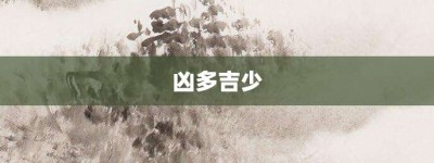 凶多吉少【凶多吉少的意思】- 成语大全