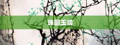 珠圆玉润【珠圆玉润的意思】- 成语大全