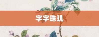 字字珠玑【字字珠玑的意思】- 成语大全